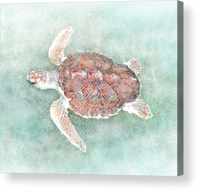 Turtle Acrylic Print featuring the digital art Turtle 2 by Lucie Dumas
