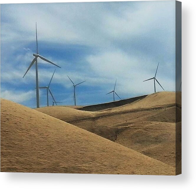 Windmills Acrylic Print featuring the photograph Windmills by FD Graham