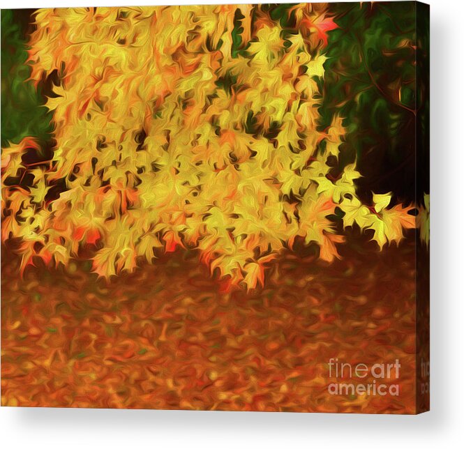 Fall Foliage Acrylic Print featuring the photograph Fall Foliage #1 by George Robinson