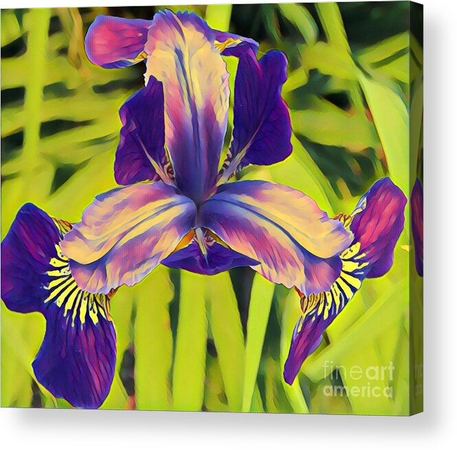 Flowers Acrylic Print featuring the painting Iris #4 by Marilyn Smith