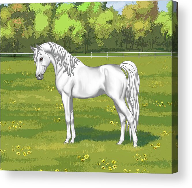 Horses Acrylic Print featuring the painting Beautiful White Gray Arabian Horse In Summer Pasture by Crista Forest