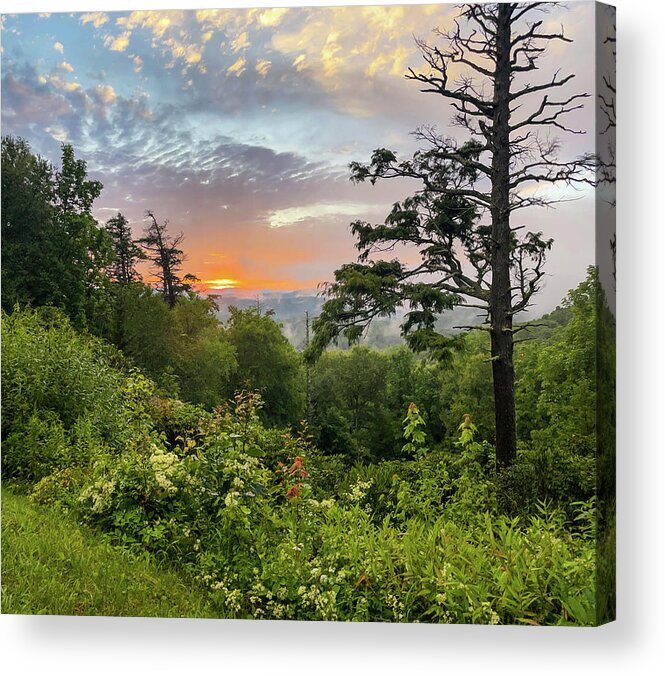 North Carolina Acrylic Print featuring the photograph Blue Ridge Scenic by Laura Fasulo
