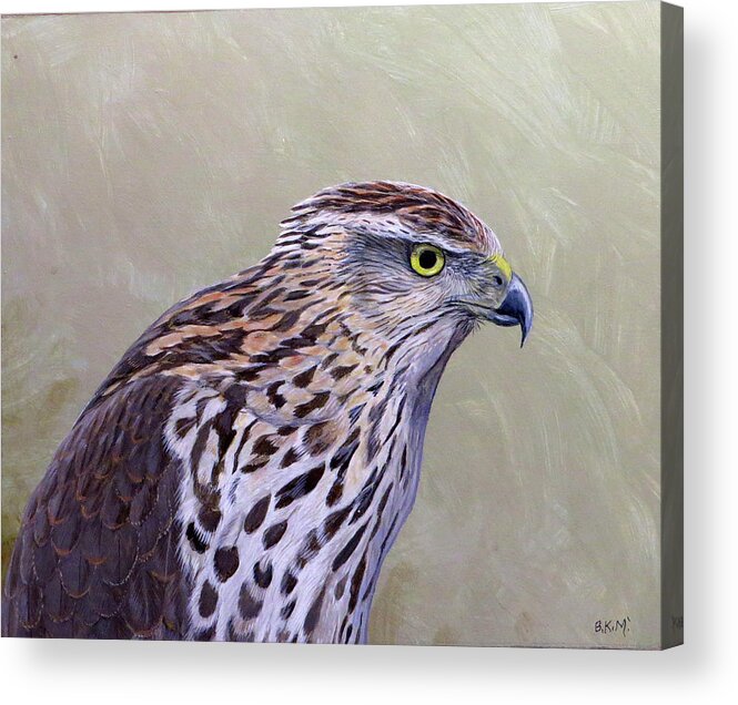Cooper's Hawk Acrylic Print featuring the painting Cooper's Hawk Portrait by Barry Kent MacKay