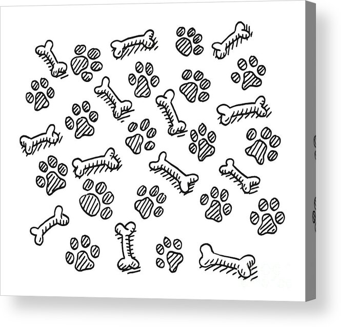 1,247 Tiger Paw Sketch Images, Stock Photos, 3D objects, & Vectors |  Shutterstock