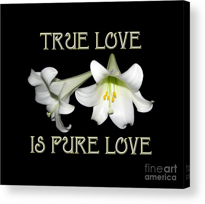 Easter Lilies True Love Is Pure Love Acrylic Print featuring the photograph Easter Lilies True Love is Pure Love by Rose Santuci-Sofranko