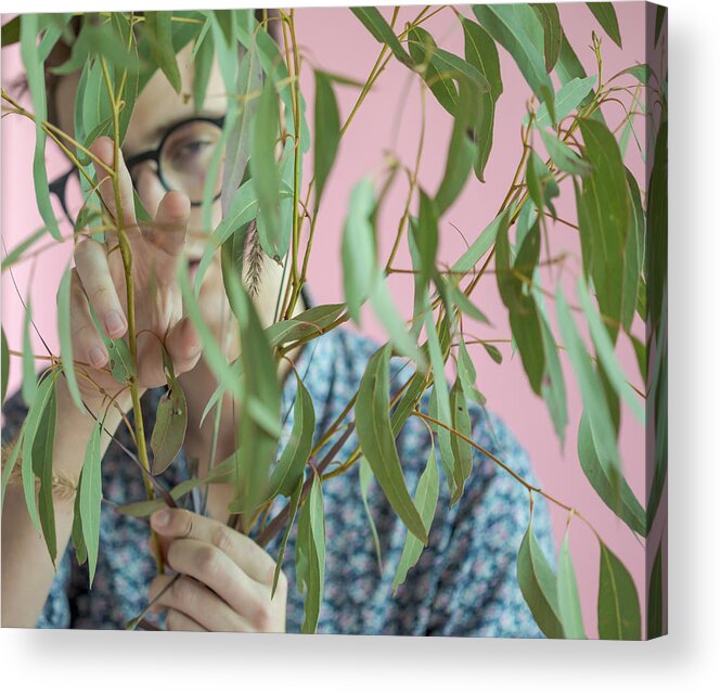 People Acrylic Print featuring the photograph Eucalyptus 2 by Lianne B Loach