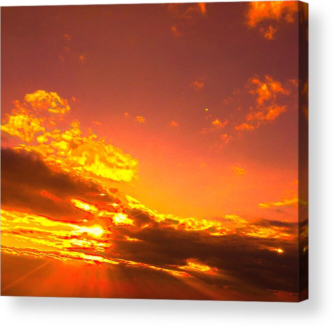  Acrylic Print featuring the photograph Golden glory by Trevor A Smith