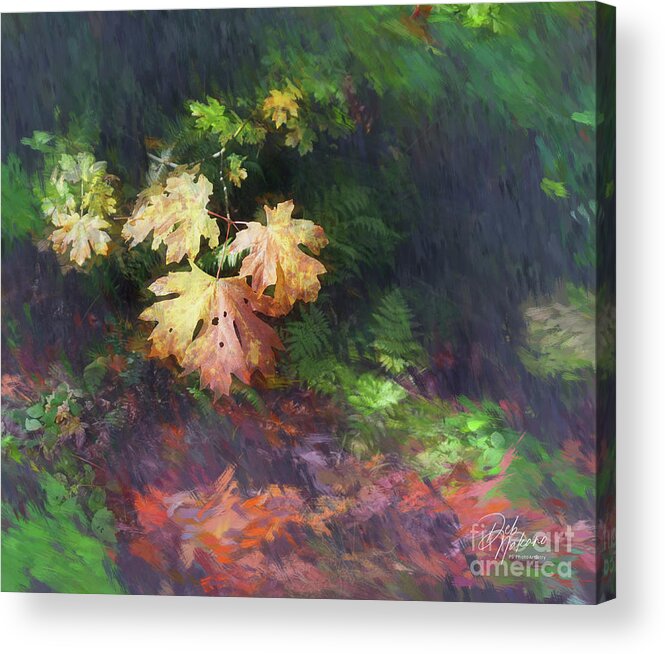 Maple Acrylic Print featuring the digital art Impressions Leaves by Deb Nakano