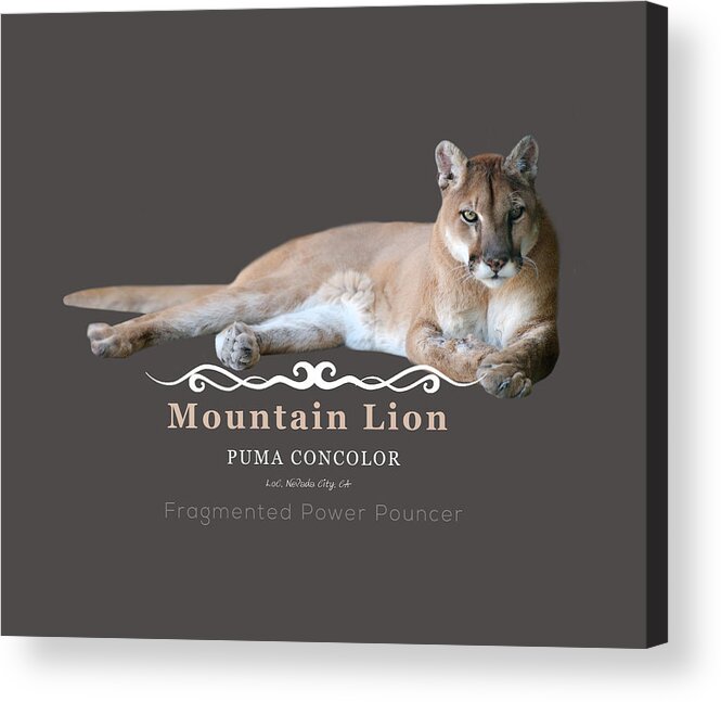 Mountain Lion Acrylic Print featuring the digital art Mountain Lion Fragmented Power Pouncer by Lisa Redfern