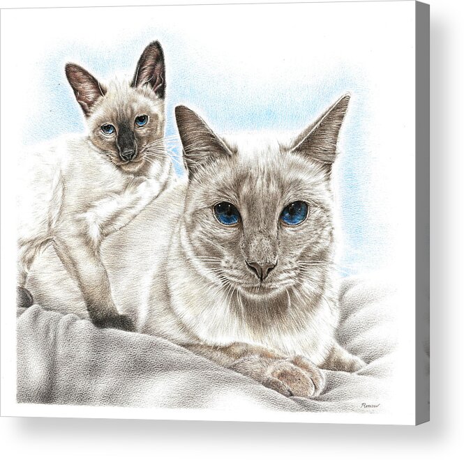 Siamese Cats Acrylic Print featuring the drawing Siamese Cats by Casey 'Remrov' Vormer