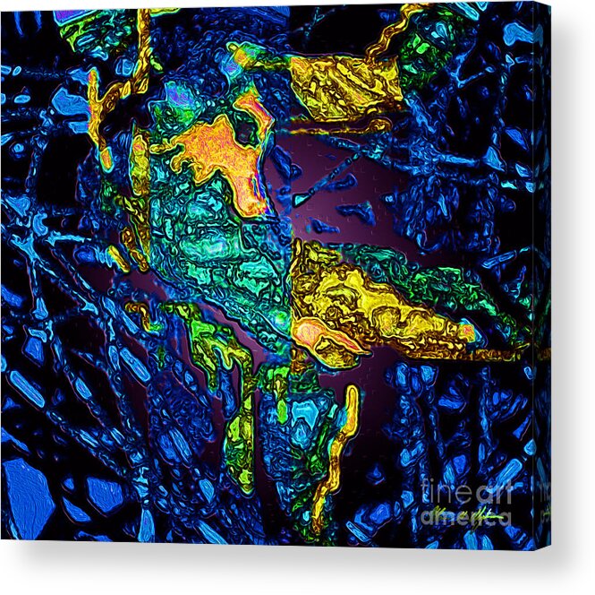 Tangled Transformation Acrylic Print featuring the digital art Tangled Transformation 3 by Aldane Wynter