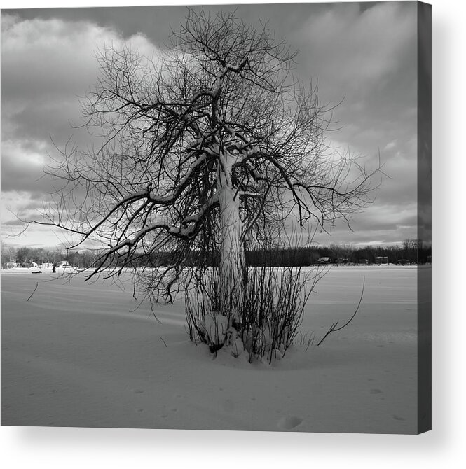 Snow Acrylic Print featuring the photograph The calm after the storm by Carl Marceau