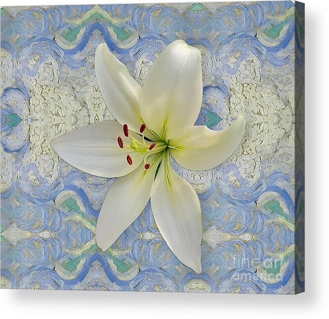 Art Acrylic Print featuring the photograph White Lily on Blue by Jeannie Rhode