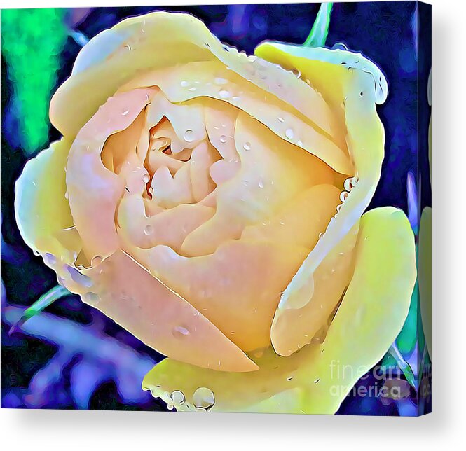 Roses Acrylic Print featuring the mixed media Yellow Rose Bud by Tracy Ruckman