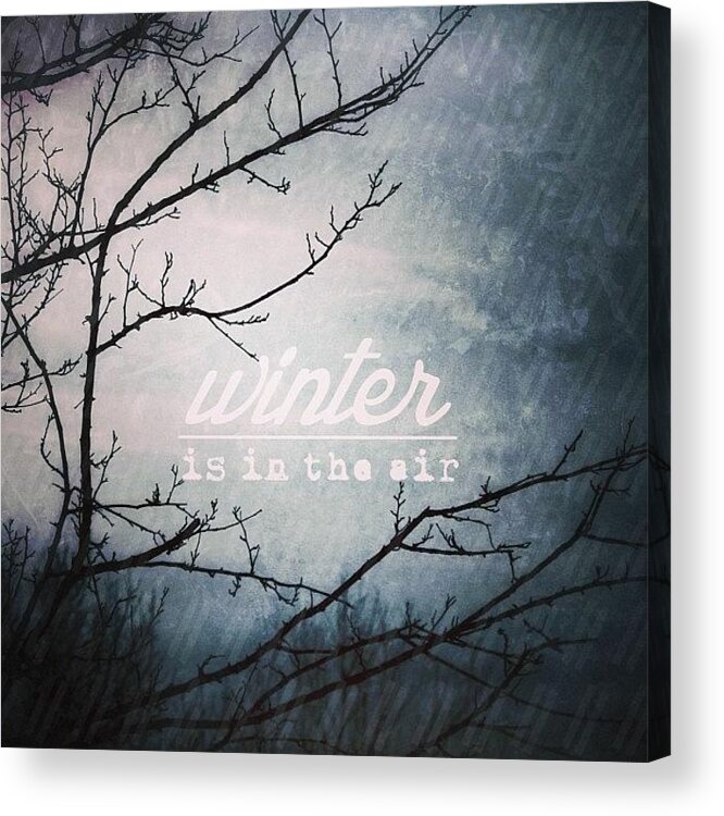 Godisgood Acrylic Print featuring the photograph || Winter ||
________________

i by Traci Beeson