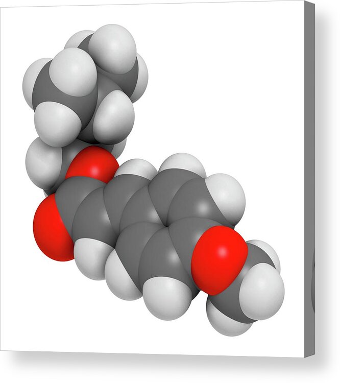 Amiloxat Acrylic Print featuring the photograph Amiloxate Sunscreen Molecule #1 by Molekuul