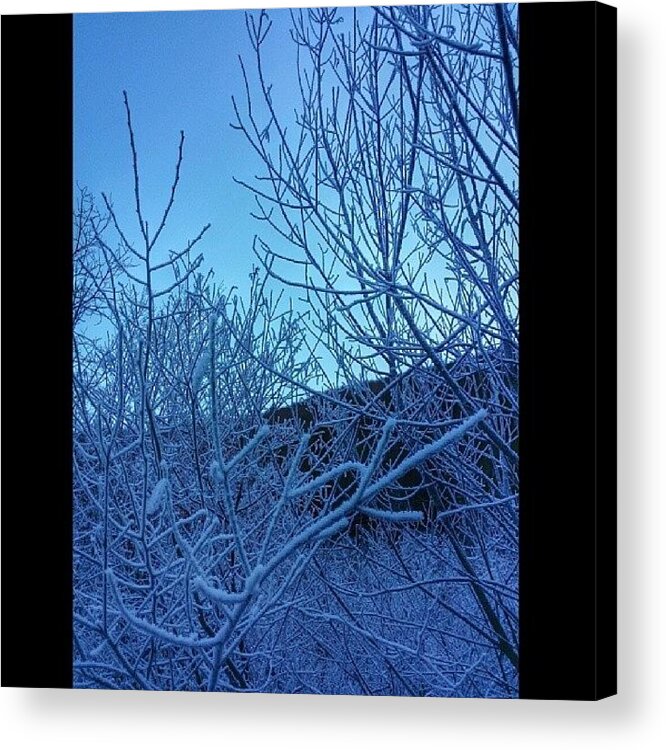  Acrylic Print featuring the photograph Andreis, Pordenone, Italy
frozen Trees #1 by Marino Todesco