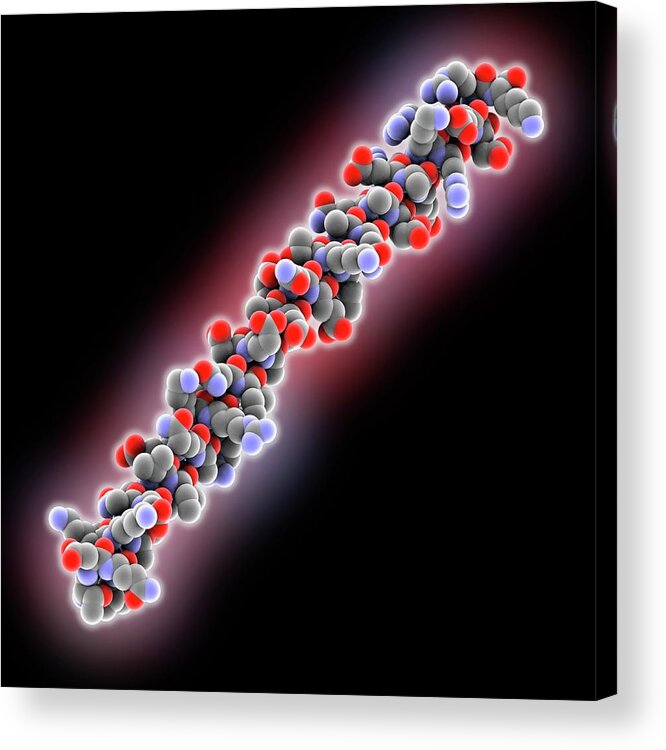 Art Acrylic Print featuring the photograph Bacterial Atp Synthase Stalk Structure #1 by Laguna Design/science Photo Library
