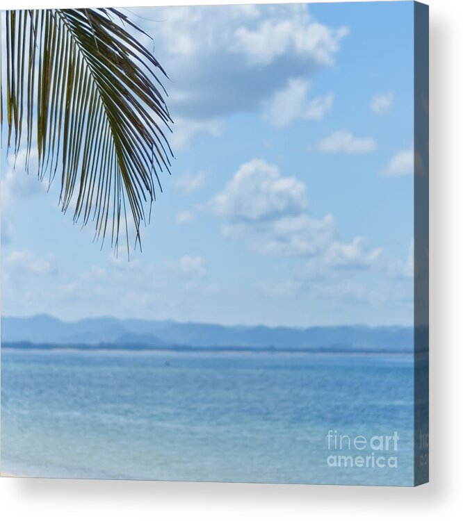 Sea Acrylic Print featuring the photograph Beach Background #1 by Antony McAulay