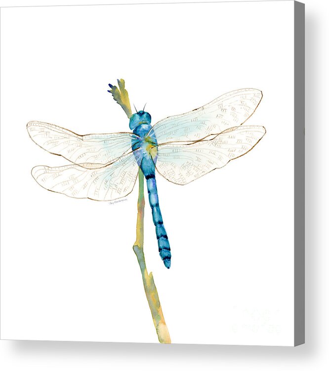 Blue Acrylic Print featuring the painting Blue Dragonfly by Amy Kirkpatrick