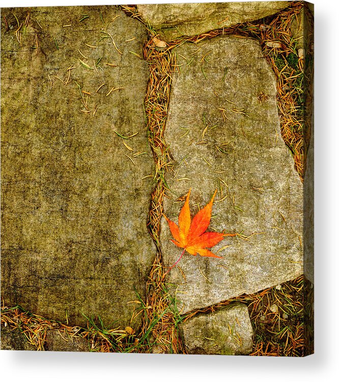 Fall Acrylic Print featuring the photograph Leaf on Stones Squared by Marianne Campolongo