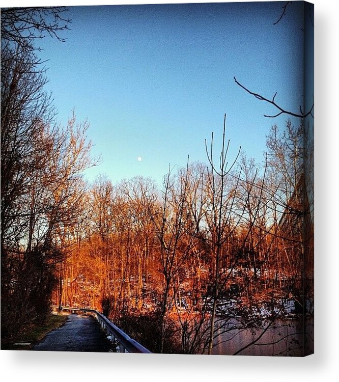 Ramapo Acrylic Print featuring the photograph Even With The Trees Bare It's Still #1 by Devan Swistack