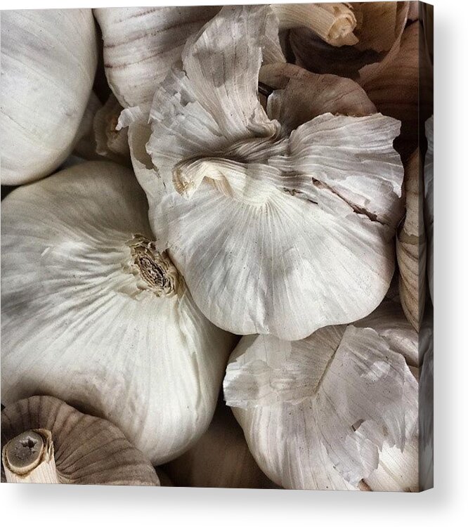 Foodgasm Acrylic Print featuring the photograph Garlic by Jason Roust