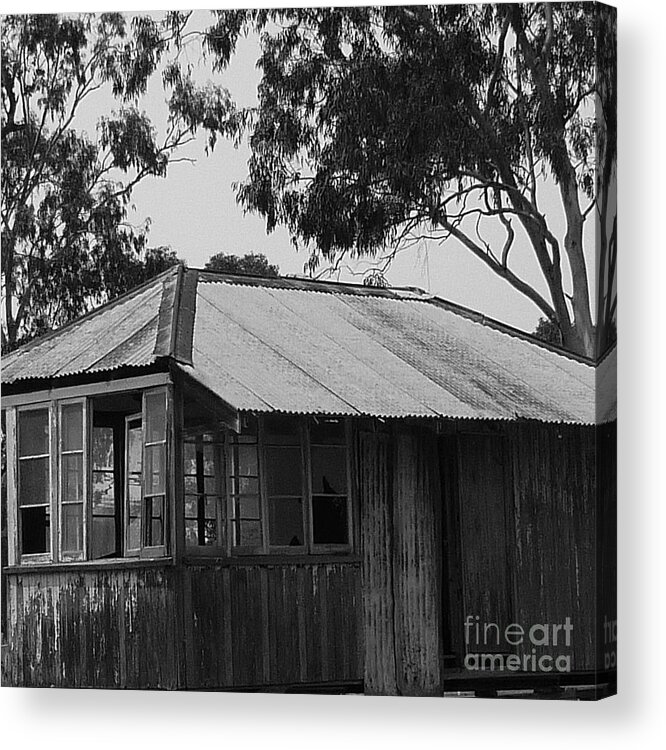House Acrylic Print featuring the photograph Home Among the Gum Trees #1 by Therese Alcorn