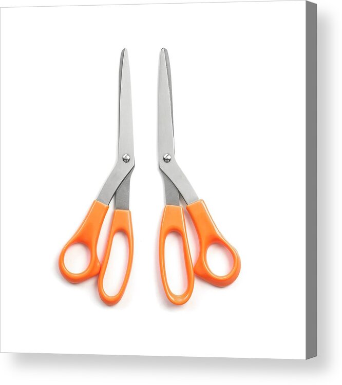 https://render.fineartamerica.com/images/rendered/default/acrylic-print/8/8/hangingwire/break/images-medium-5/1-left-and-right-handed-scissors-science-photo-library.jpg