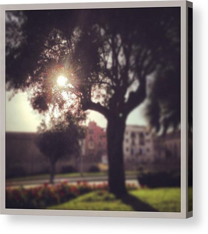 Love Acrylic Print featuring the photograph #love #tagsforlikes #tflers #tweegram #1 by Palma Pics