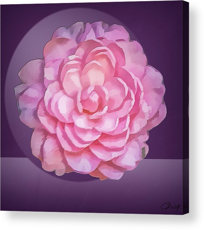 Camelia Acrylic Print featuring the digital art Pink Camelia by Frank Lee