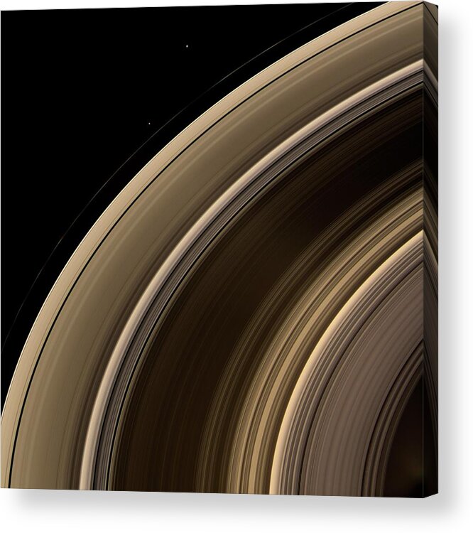 Janus Acrylic Print featuring the photograph Saturn's Rings And Moons by Nasa/jpl/space Science Institute/science Photo Library