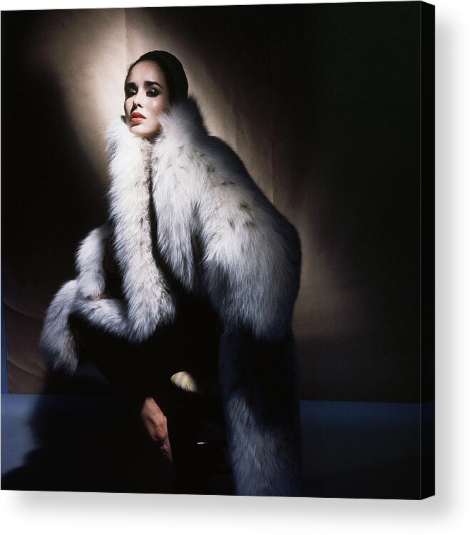 Studio Shot Acrylic Print featuring the photograph Sondra Peterson Wearing White Fur Coat #1 by Horst P. Horst