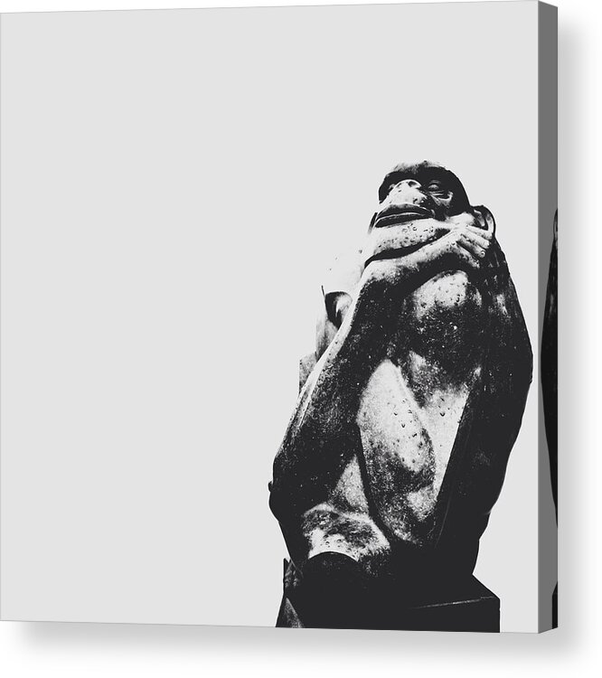 The Thinker Acrylic Print featuring the photograph The Thinker #2 by Natasha Marco