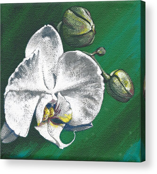 White Orchid Acrylic Print featuring the painting White Orchids II #2 by Joan Garcia
