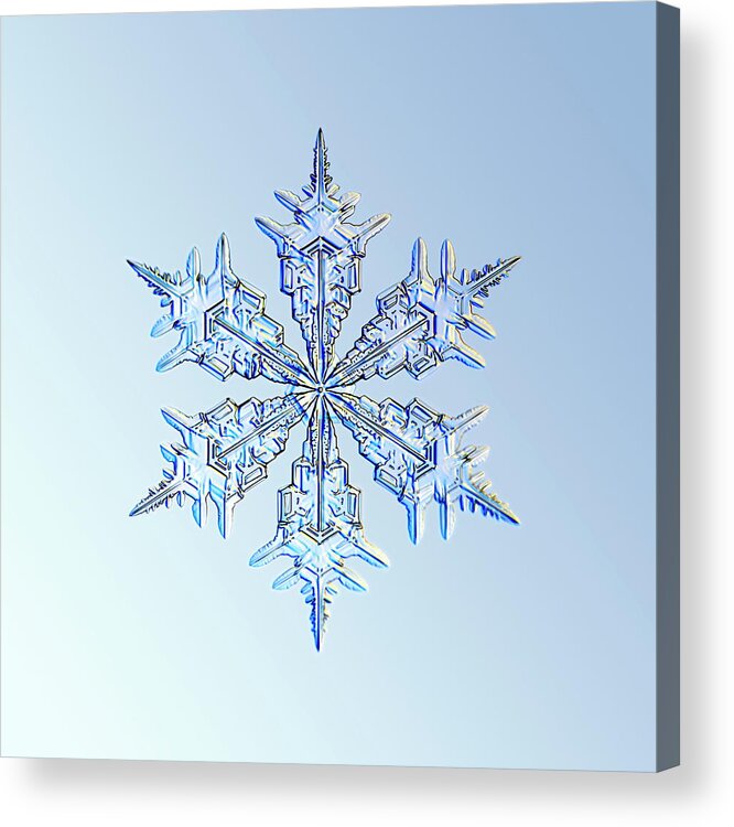 Snowflake Acrylic Print featuring the photograph Snowflake #10 by Kenneth Libbrecht/science Photo Library