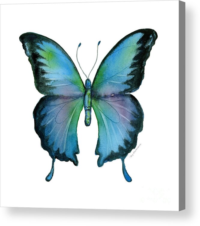 Blue Acrylic Print featuring the painting 12 Blue Emperor Butterfly by Amy Kirkpatrick