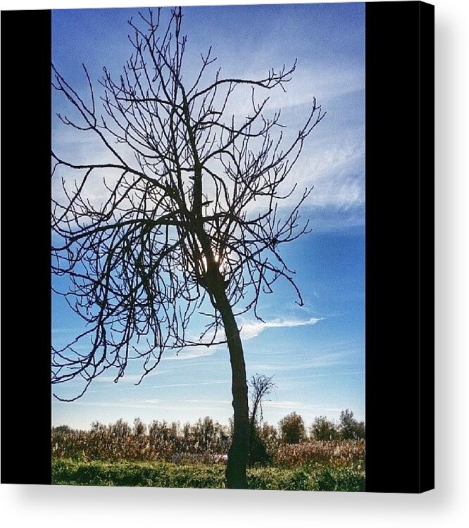  Acrylic Print featuring the photograph Brussa, Caorle, Venezia, Italy #13 by Marino Todesco