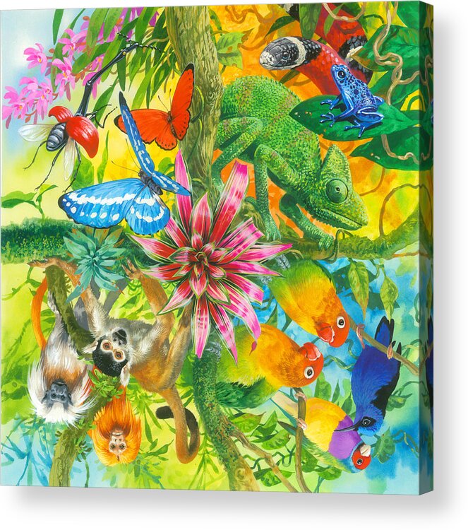 John Francis Acrylic Print featuring the painting Wonders of Nature by MGL Meiklejohn Graphics Licensing