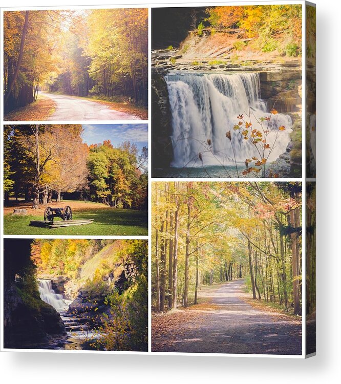 Fall Acrylic Print featuring the photograph Autumn at Letchworth #2 by Sara Frank