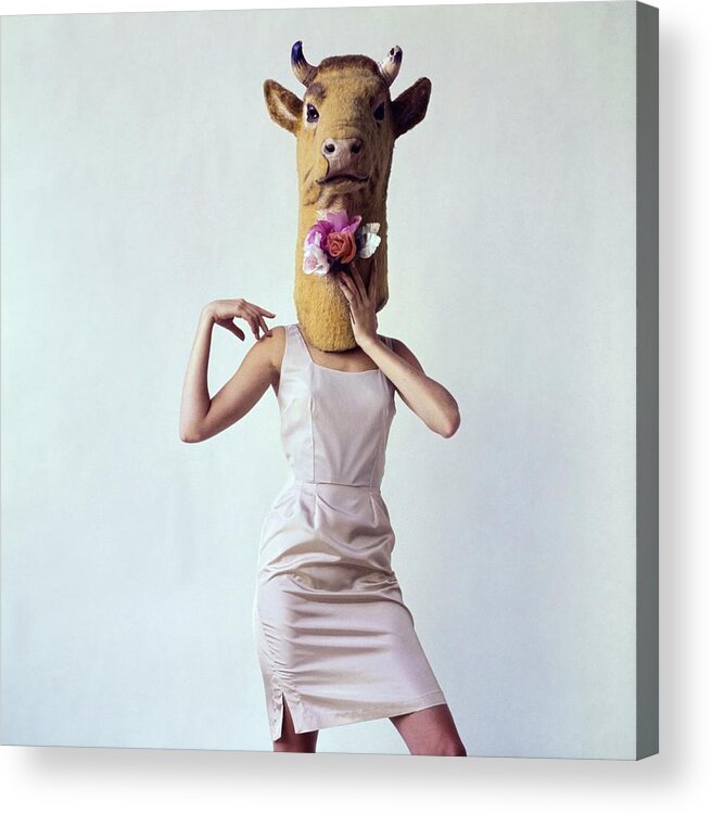 Animal Acrylic Print featuring the photograph Model Wearing A Cow Mask #2 by Gianni Penati