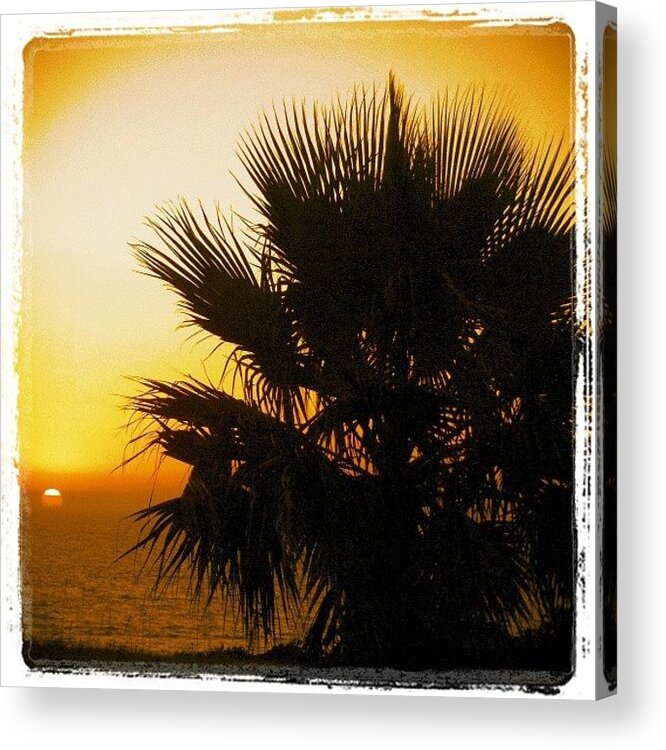 Beautiful Acrylic Print featuring the photograph #palmtree #beautiful #love #sky #tree #2 by Juan Parafiniuk