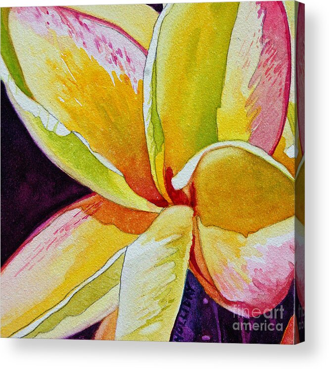 Plumeria Acrylic Print featuring the painting Plumeria #2 by Terry Holliday