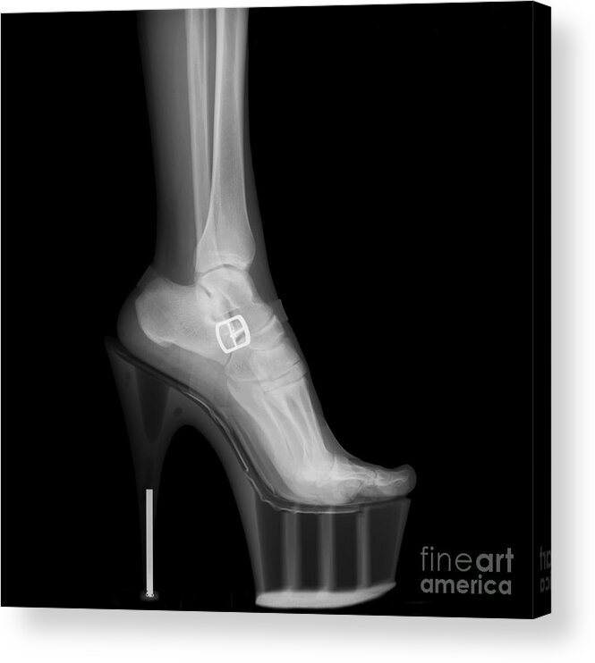 Stiletto Acrylic Print featuring the photograph Stiletto High-Heeled Shoe #2 by Guy Viner