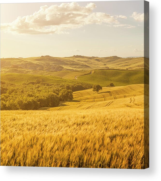 Scenics Acrylic Print featuring the photograph Sunset Tuscany Landscape #2 by Focusstock