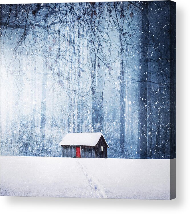 Winter Acrylic Print featuring the photograph Winter #2 by Bess Hamiti