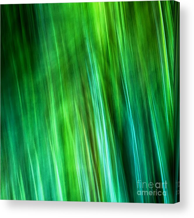 Joanne Bartone Photographer Acrylic Print featuring the photograph Meditations on Movement in Nature #22 by Joanne Bartone