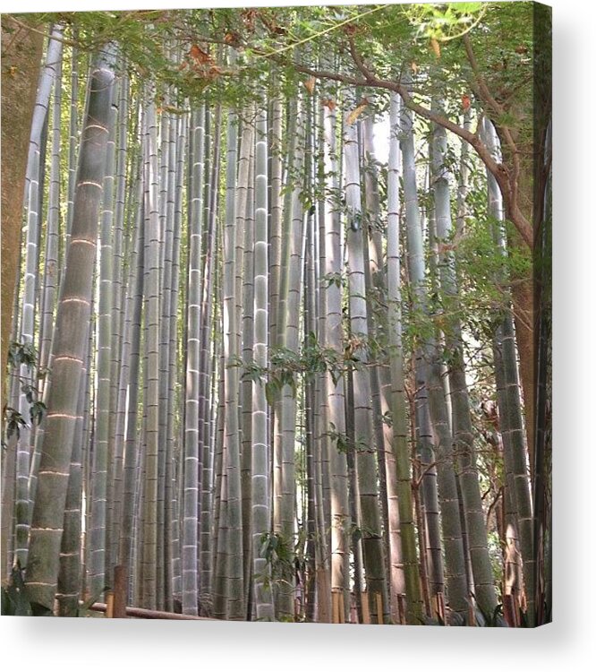 Landscape Acrylic Print featuring the photograph #landscape #237 by Tokyo Sanpopo