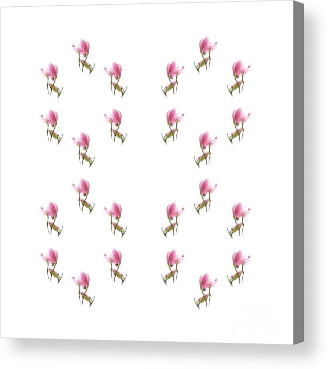 Andee Design Magnolia Acrylic Print featuring the photograph 24 Dancing Pink Magnolias Square by Andee Design