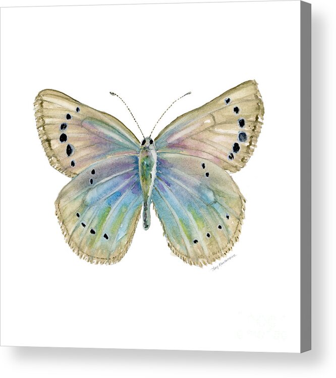 Alexis Acrylic Print featuring the painting 25 Alexis Butterfly by Amy Kirkpatrick
